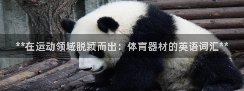 耀世集团是干嘛的：**在运动领域脱颖而出：体育器材的英语词汇