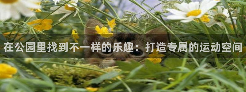 耀世平台六七五一38