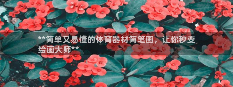 耀世平台有很多登录地址吗：**简单又易懂的体育器材简