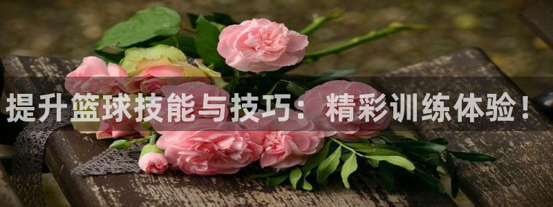 耀世娱乐app下载官网苹果