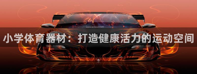 耀世平台拿什么输入账号密码呢：小学体育器材：打造健康