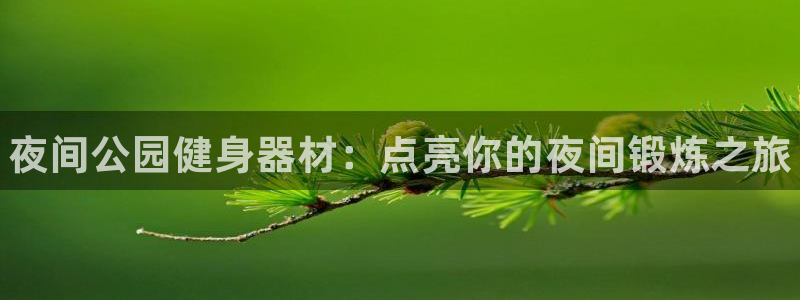 耀世平台乙六七五一38：夜间公园健身器材：点亮你的夜