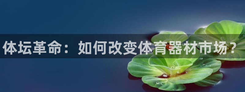 耀世娱乐如何登录平台账号：体坛革命：如何改变体育器材