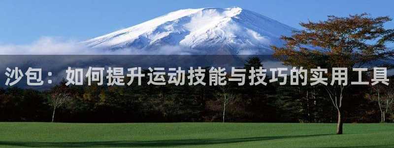 耀世平台皮皮虾怎么样：沙包：如何提升运动技能与技巧的