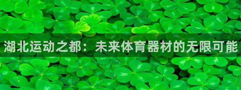 耀世娱乐是不是很黑：湖北运动之都：未来体育器材的无限