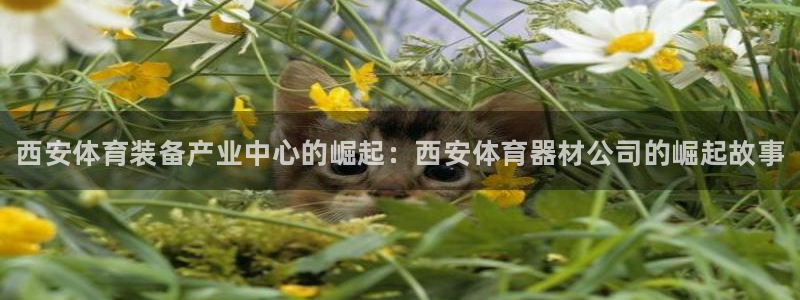 耀世娱乐是不是赚钱：西安体育装备产业中心的崛起：西安