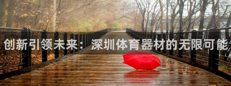 耀世平台注册网址是什么啊：创新引领未来：深圳体育器材的无限可