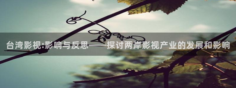 樱桃视频丝瓜视频：台湾影视:影响与反思——探讨两岸影视产业的发展和影响