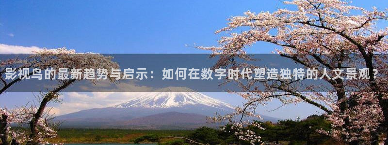 樱桃视频最新地址：影视鸟的最新趋势与启示：如何在数字时代塑造独特的人文景观？