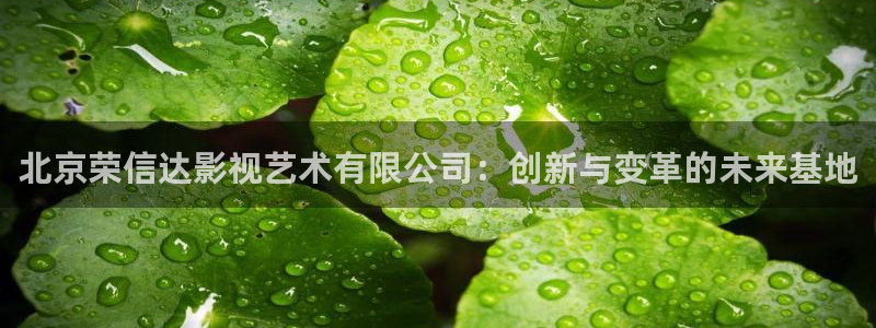 樱桃成熟的时候电影：北京荣信达影视艺术有限公司：创新与变革的未来基地