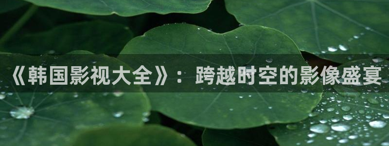 樱桃视频色版下载：《韩国影视大全》：跨越时空的影像盛宴