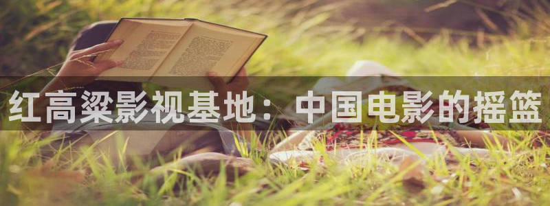 樱桃视频app在线无限观看