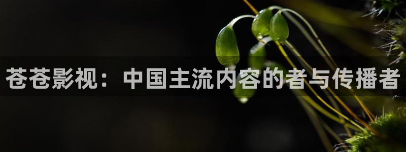 樱桃直播在线观看视频