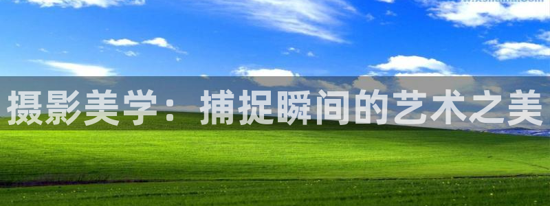 樱桃20