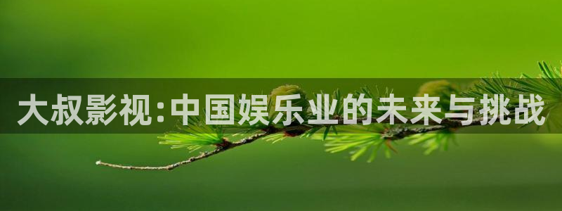 ytapp樱桃视频：大叔影视:中国娱乐业的未来与挑战