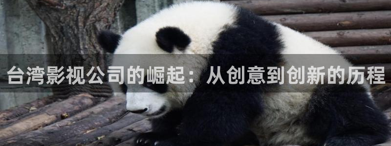 一级片樱桃视频：台湾影视公司的崛起：从创意到创新的历程