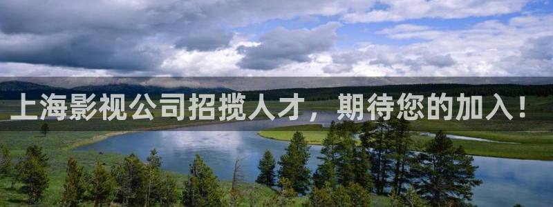 针叶樱桃vc片